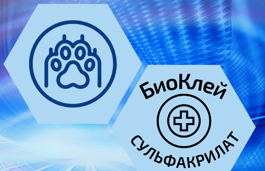 Ветеринария